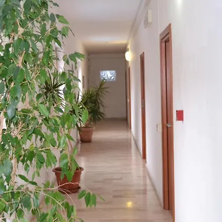 Citti Hotel 3*